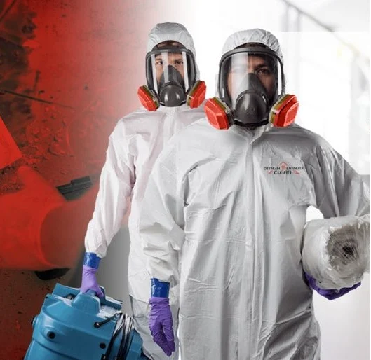 Mold Removal Ottawa